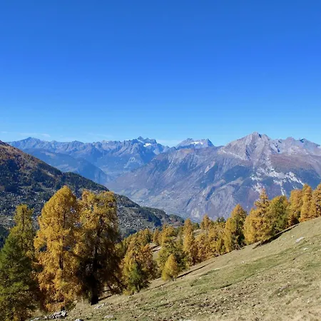 Lovely With Valley View