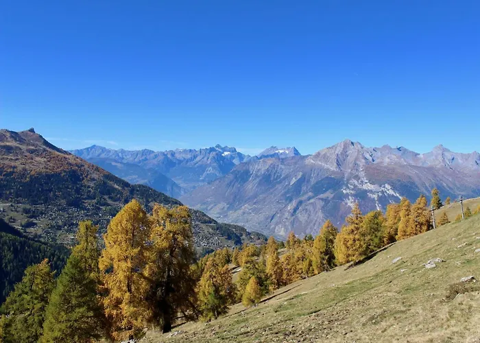 Lovely With Valley View